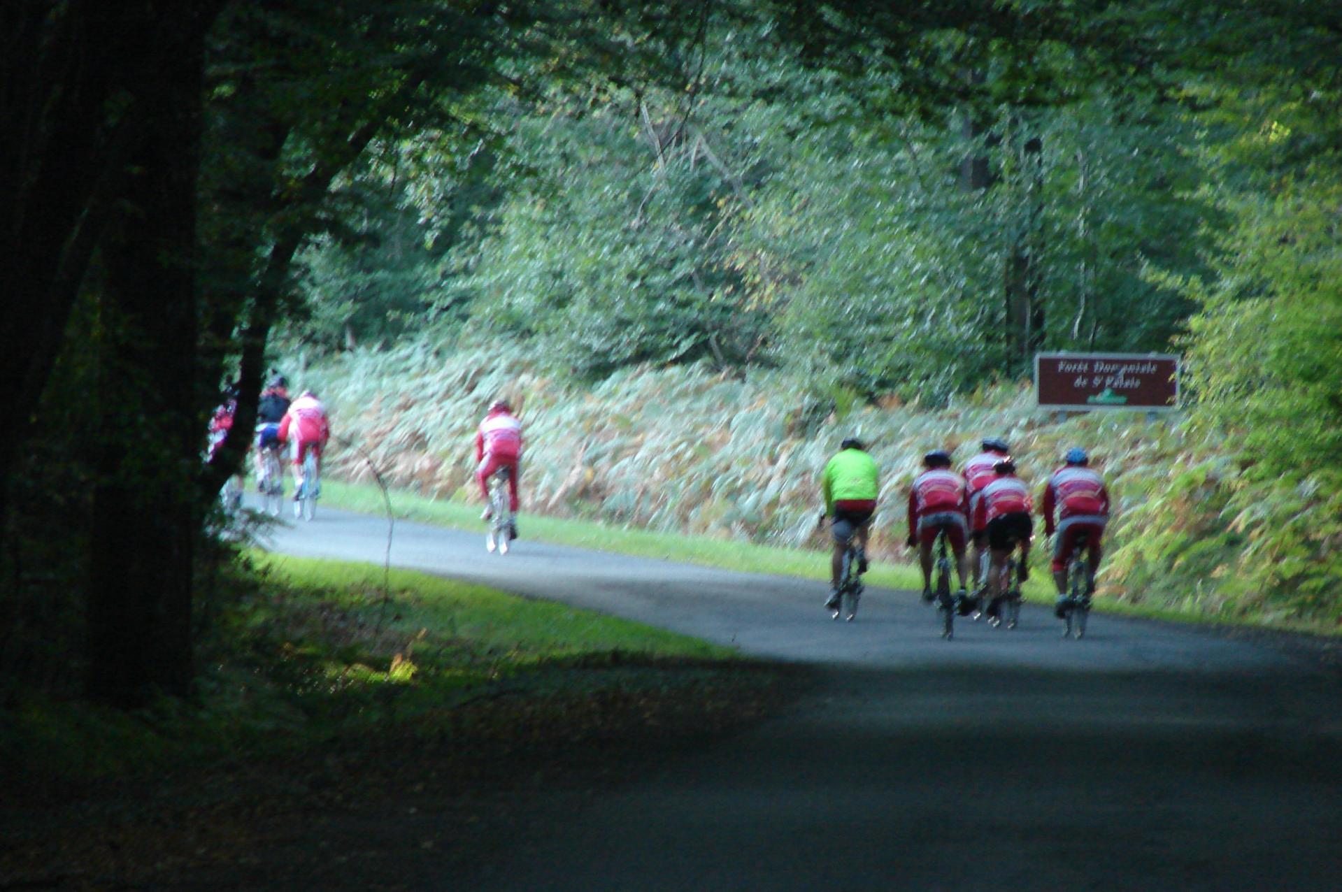 Ste Montaine 2014.Les cyclos en forêt