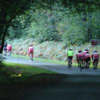 Ste Montaine 2014.Les cyclos en forêt