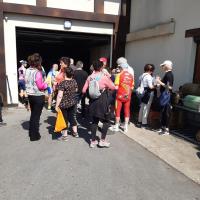 Restauration des participants