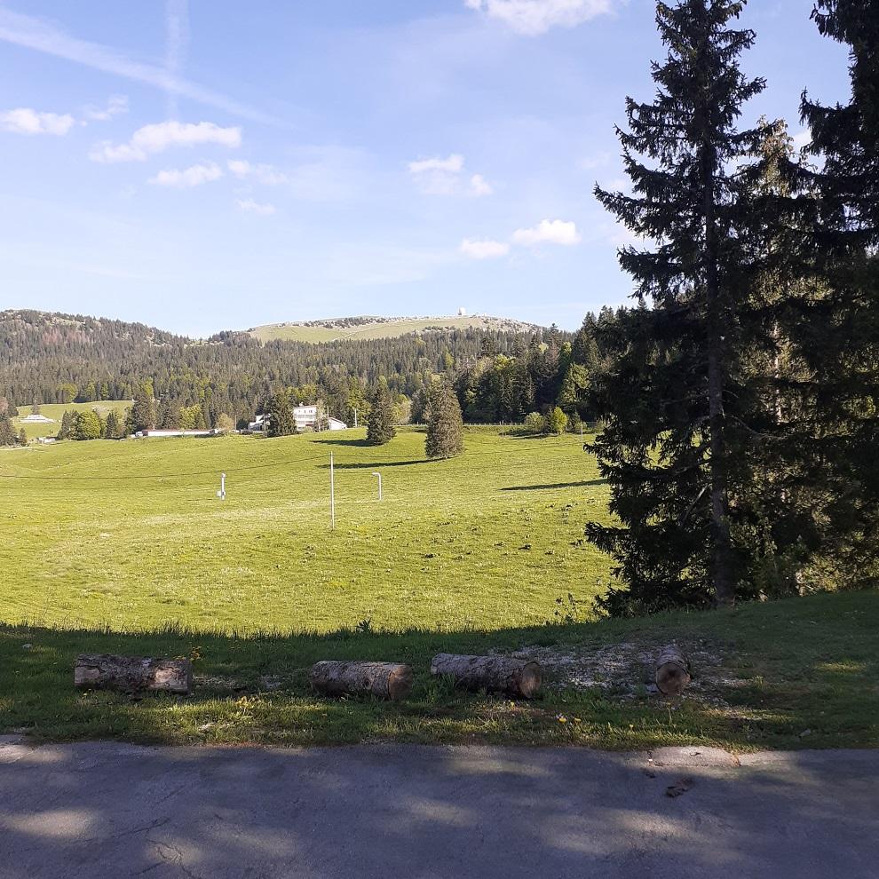 Belle vue du chalet