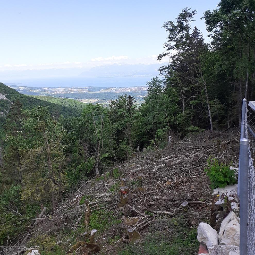 Paysage Suisse