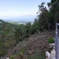 Paysage Suisse